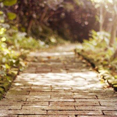 金沙娱场城官网入口网址下载